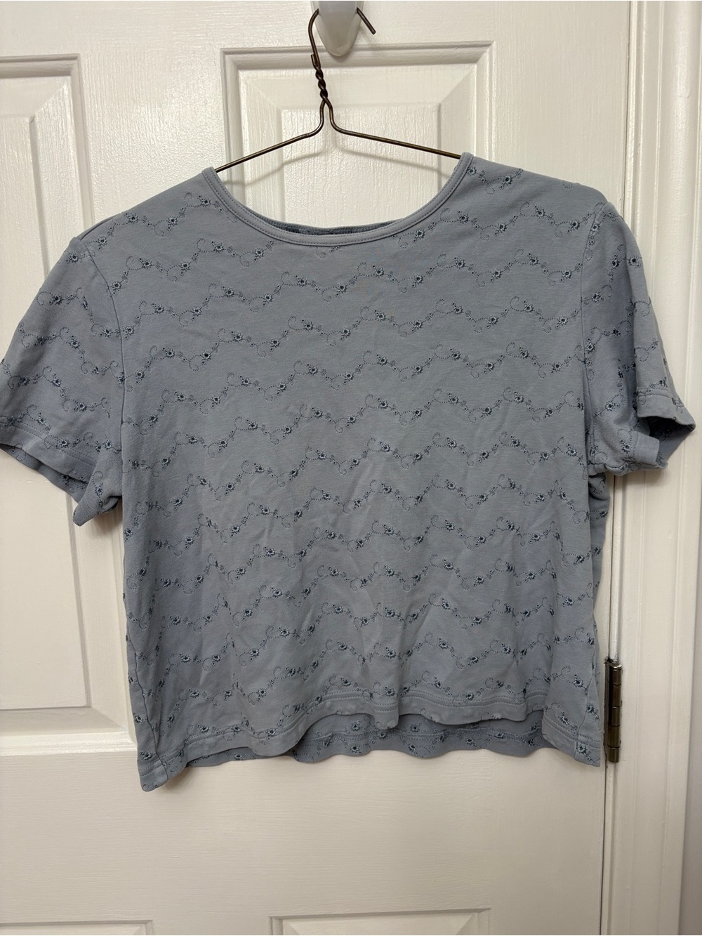 Orvis Light Blue Eyelet/Embroidered Short Sleeve Women's Top
